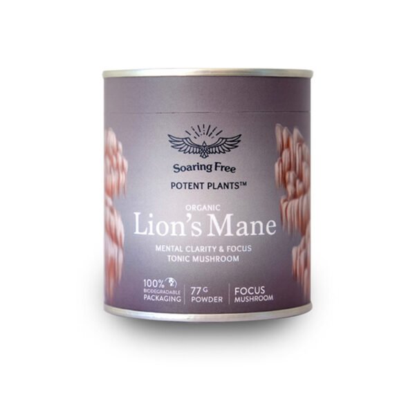 Organic Lion's Mane Powder